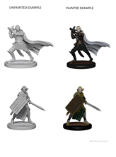 Pathfinder Deep Cuts Unpainted Miniatures: Elf Male Paladin | Boutique FDB