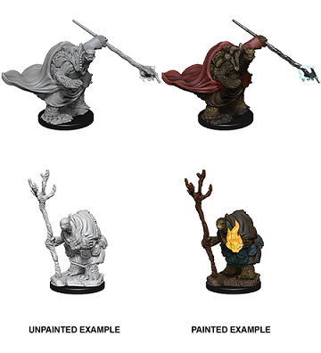 D&D Nolzur's Marvelous Unpainted Miniatures: Wave 9: Tortle Adventurers | Boutique FDB