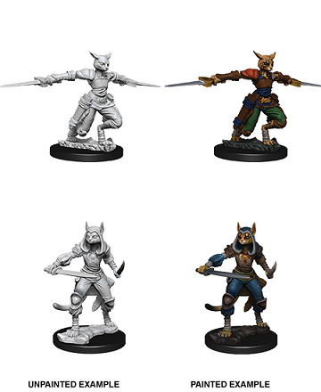 D&D Nolzur's Marvelous Unpainted Miniatures: Wave 9: Tabaxi Rogue | Boutique FDB