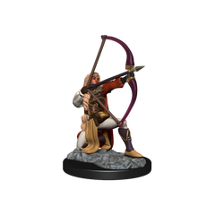 Pathfinder : Unpainted Miniatures - Wave 15 - Female Human Fighter | Boutique FDB