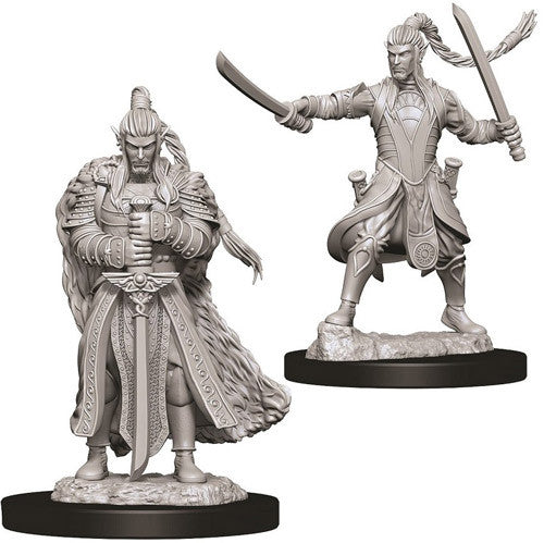 Dungeons & Dragons : Unpainted Miniatures - Wave 9 - Elf Paladin | Boutique FDB