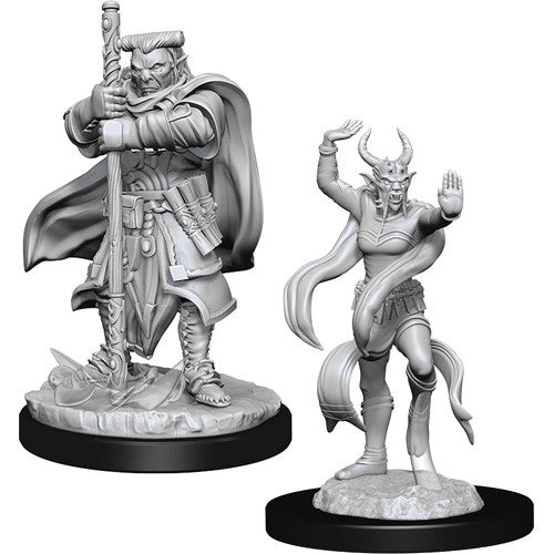 Dungeons & Dragons : Unpainted Miniatures - Wave 13 - Hobgoblin Devastator & Iron Shadow | Boutique FDB