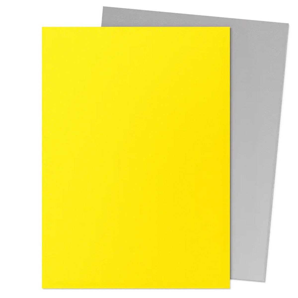 Sleeves: Dragon Shield: Matte DUAL: Yellow & Silver | Boutique FDB