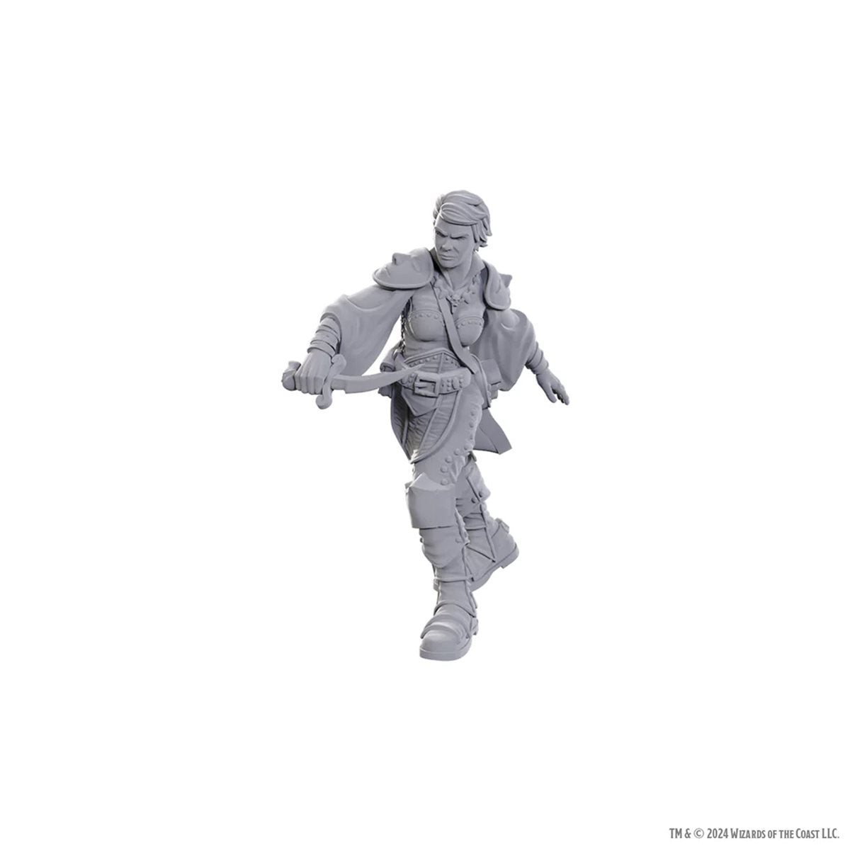 D&D Nolzur's Marvelous Unpainted Miniatures: Wave 25: Swashbuckler | Boutique FDB