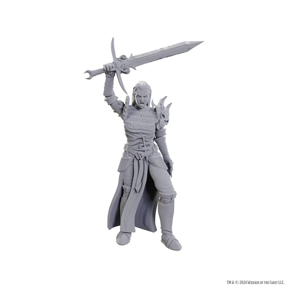 D&D Nolzur's Marvelous Unpainted Miniatures: Wave 25: Blackguard | Boutique FDB