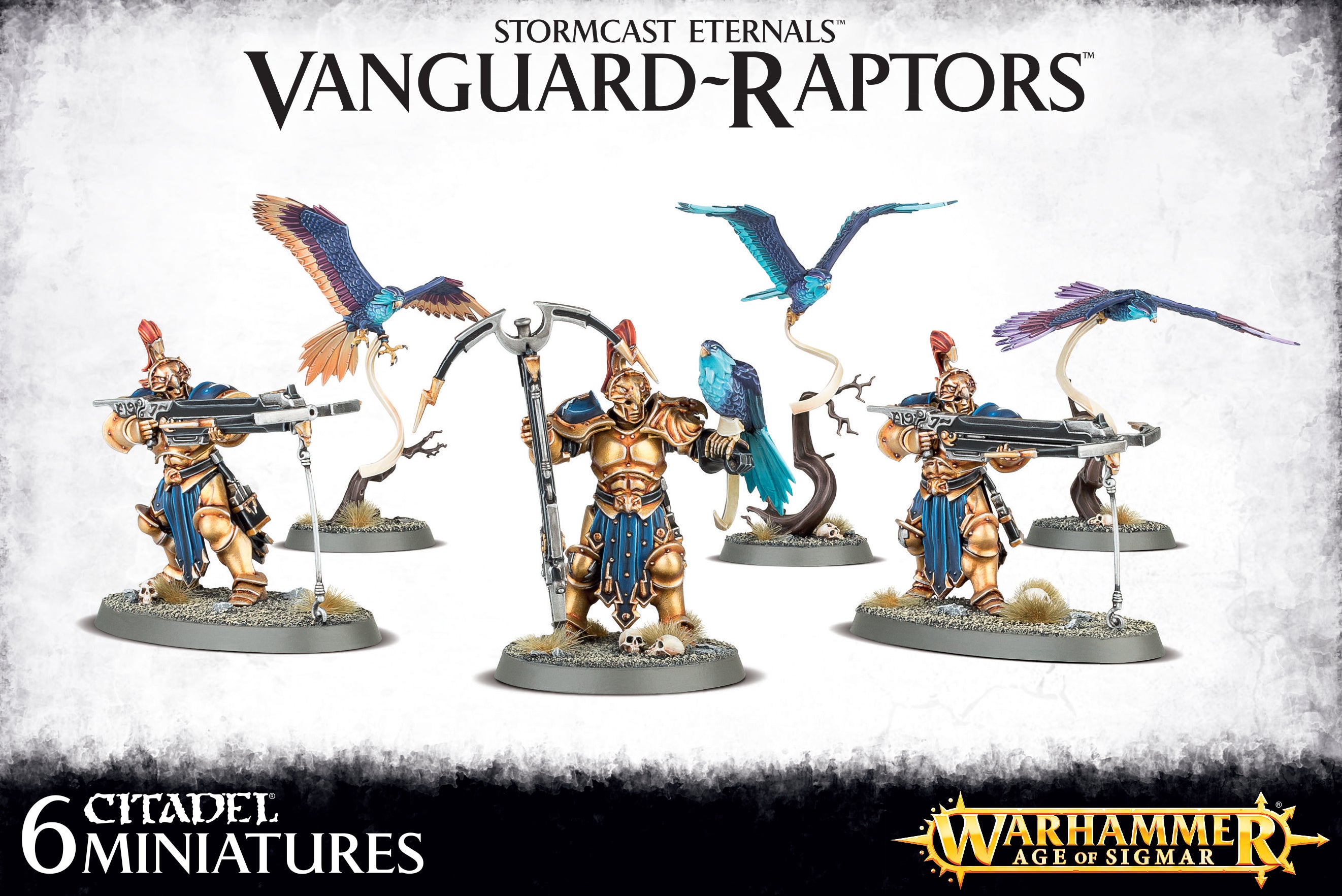 Age of Sigmar : Stormcast Eternals - Vanguard-Raptors | Boutique FDB