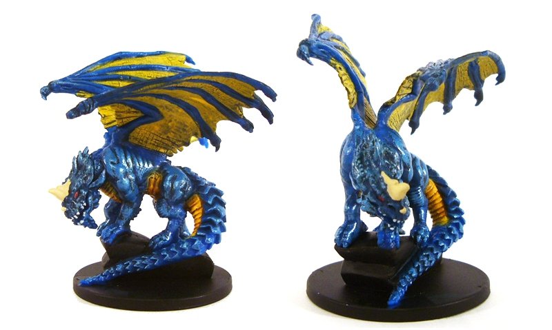 Young blue dragon | Boutique FDB