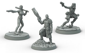 FALLOUT SURVIVORS BOSTON COMPANIONS SET | Boutique FDB