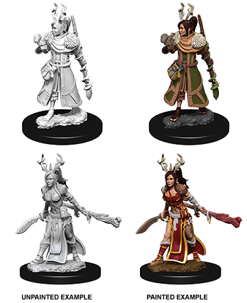 D&D Nolzur's Marvelous Unpainted Miniatures: Wave 9: Human Female Druid | Boutique FDB