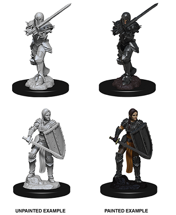 D&D Nolzur's Marvelous Unpainted Miniatures: Wave 9: Human Fighter | Boutique FDB