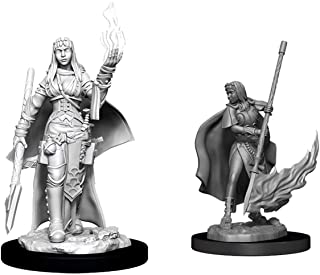 Pathfinder Deep Cuts Unpainted Miniatures: Wave 11: Female Human Oracle | Boutique FDB