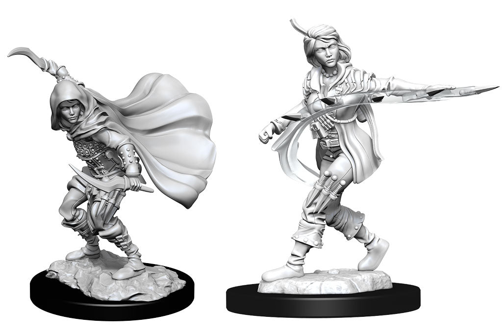 D&D Nolzur's female human rogue | Boutique FDB