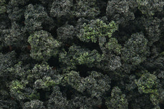 Bushes Clump-Foliage Forest Blend | Boutique FDB