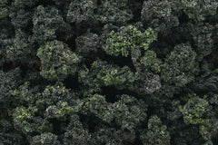 Bushes Clump-Foliage Forest Blend | Boutique FDB