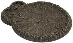 Battlefield in a Box: Large Craters and Runied House | Boutique FDB