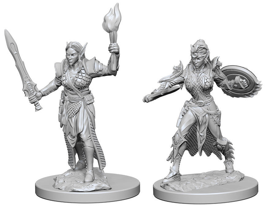 Pathfinder Deep Cuts Unpainted Miniature: Elf Female Fighter | Boutique FDB