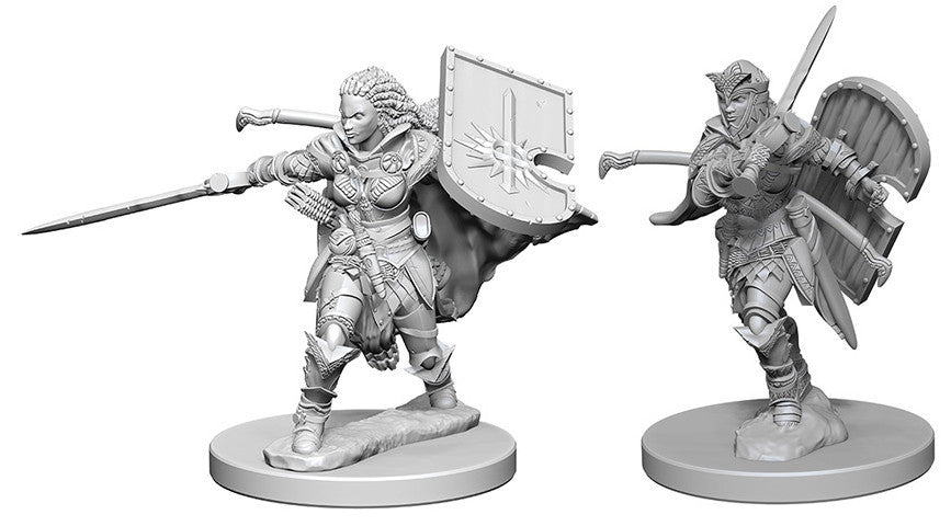 Pathfinder Deep Cuts Unpainted Miniatures: Human Female Paladin | Boutique FDB