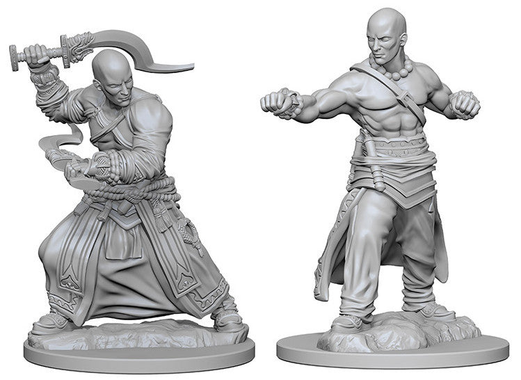 Pathfinder Deep Cuts Unpainted Miniatures: Human Male Monk | Boutique FDB