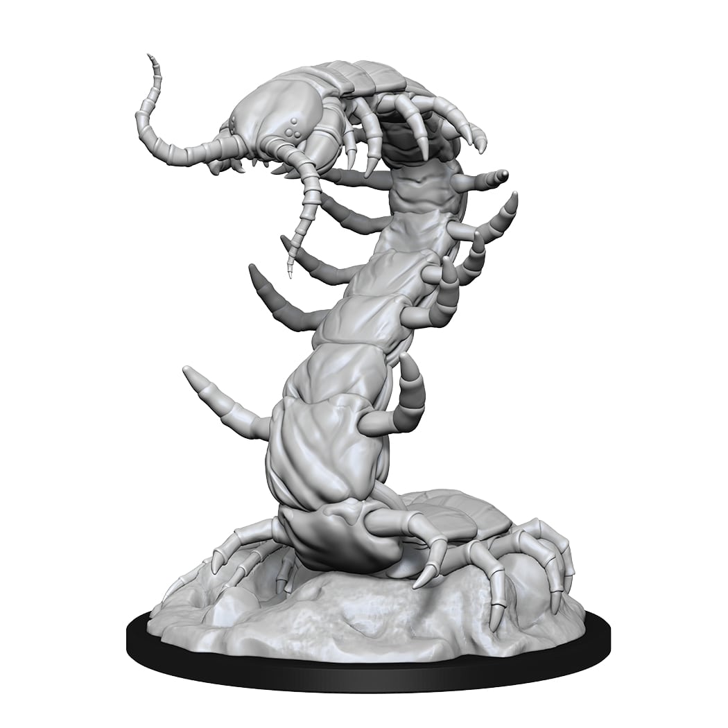 Giant centipede | Boutique FDB