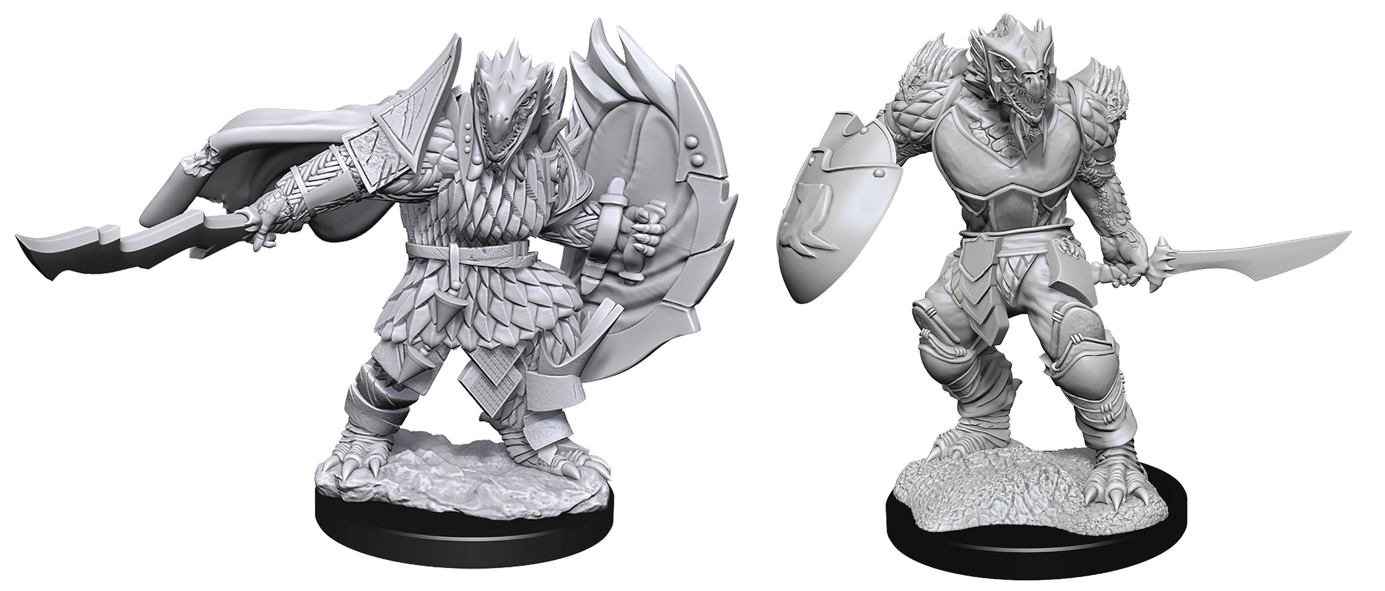 Dragonborn fighter | Boutique FDB