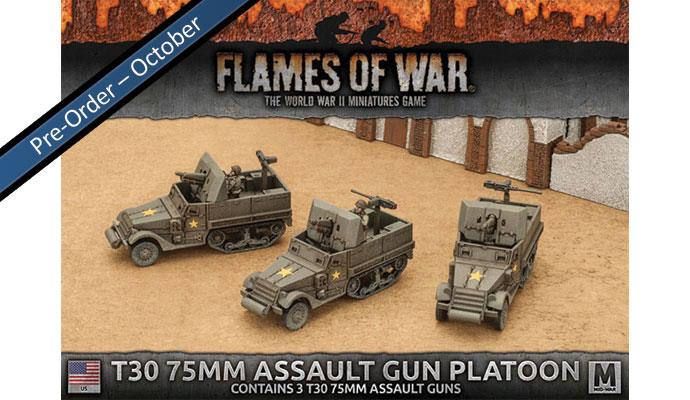 T30 75mm Assault Gun Platoon | Boutique FDB