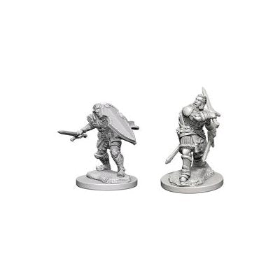 D&D Nolzur's Marvelous Unpainted Miniatures: Human Paladin | Boutique FDB