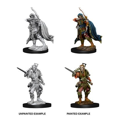 Elf Male Rogue | Boutique FDB