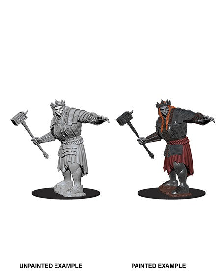 Dungeons and Dragons : Unpainted Miniatures - Wave 7 - Fire Giant | Boutique FDB