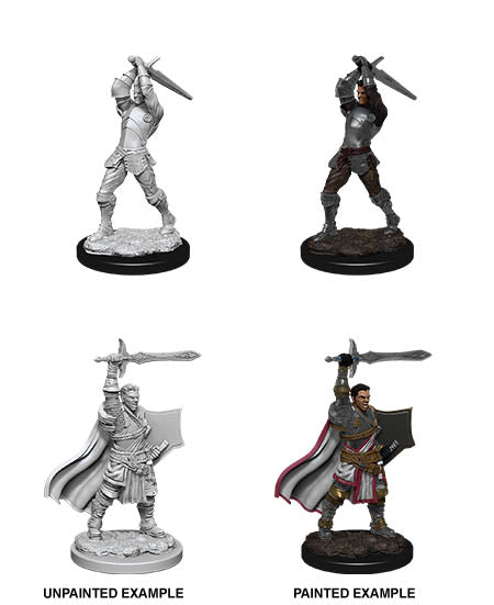 Human Paladin | Boutique FDB