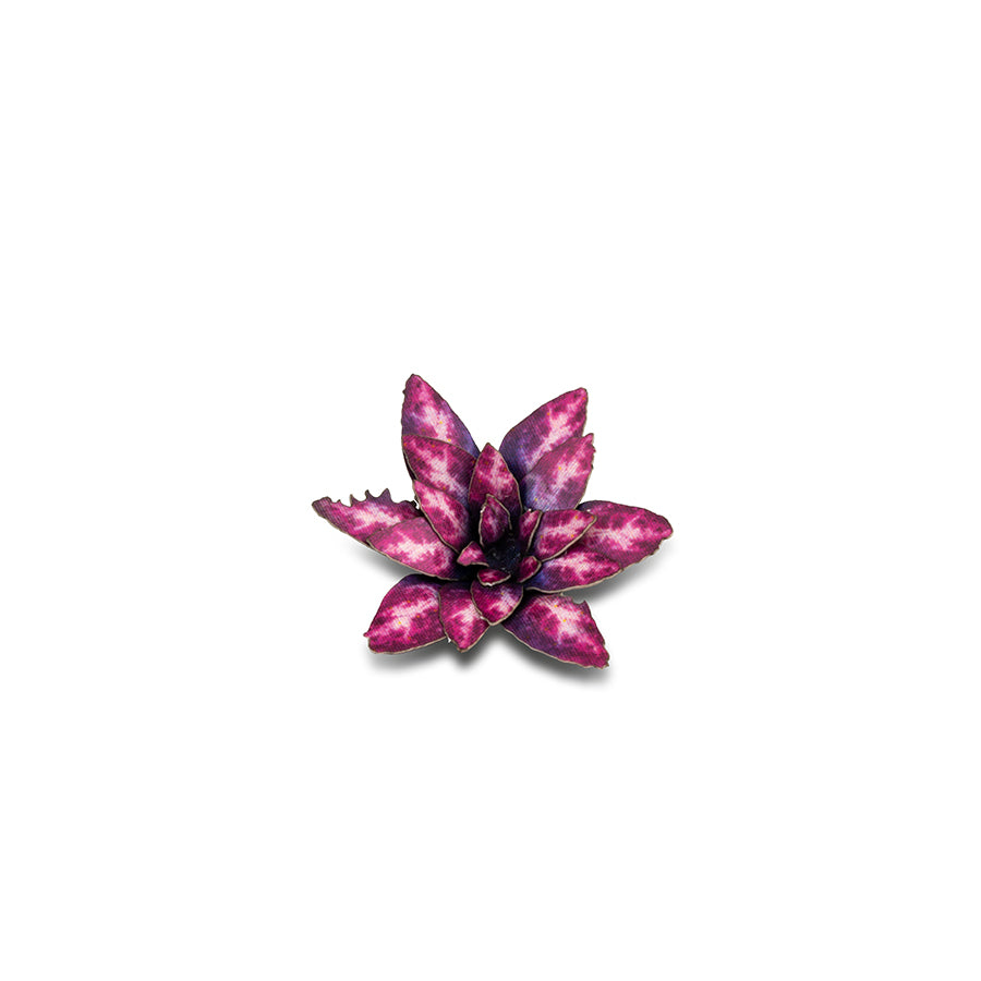 GamersGrass - Laser Plants - Alien Rosette | Boutique FDB