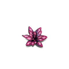 GamersGrass - Laser Plants - Alien Rosette | Boutique FDB