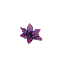 GamersGrass - Laser Plants - Alien Rosette | Boutique FDB