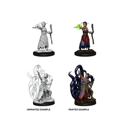 D&D Nolzur's Marvelous Unpainted Miniatures: Wave 10: Human Warlock | Boutique FDB