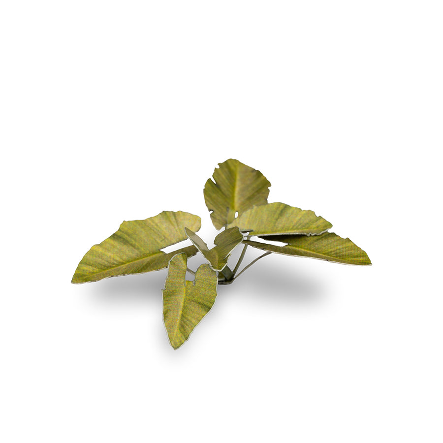 GamersGrass - Laser Plants - Elephant Ear | Boutique FDB
