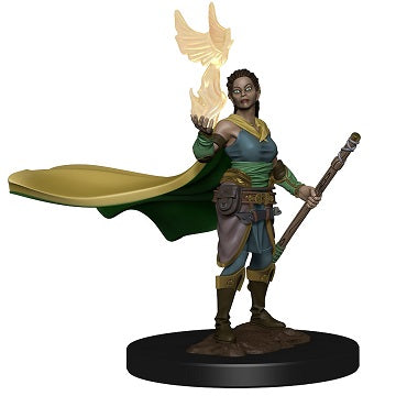 D&D Icons of the Realms Premium Miniatures: Elf Female Druid | Boutique FDB