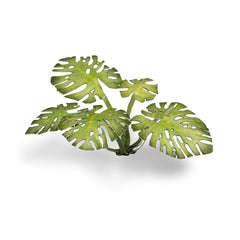 GamersGrass - Laser Plants - Monstera | Boutique FDB