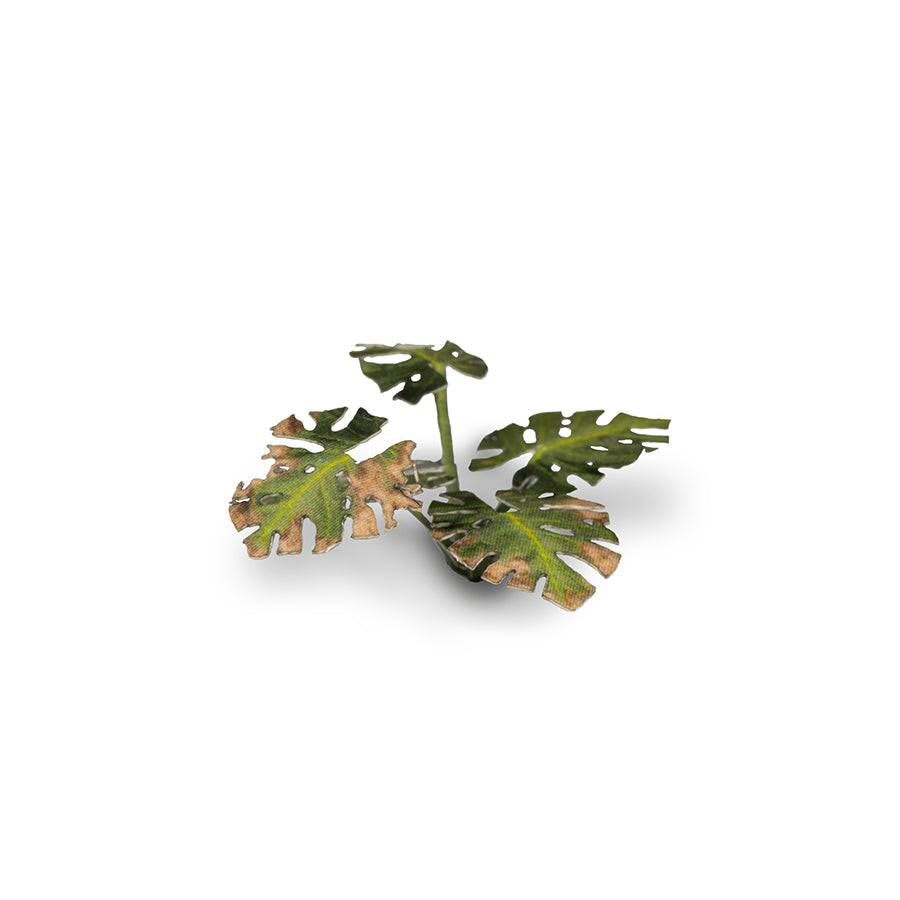 GamersGrass - Laser Plants - Monstera | Boutique FDB