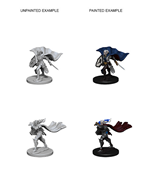 Pathfinder Deep Cuts Unpainted Miniatures: Elf Female Paladin | Boutique FDB