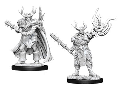 Pathfinder : Unpainted Miniatures - Wave 10 - Half-Orc Druid | Boutique FDB