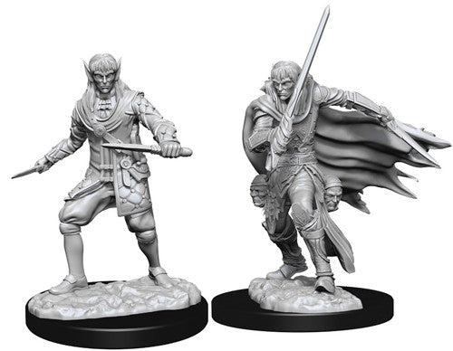 Elf Male Rogue | Boutique FDB