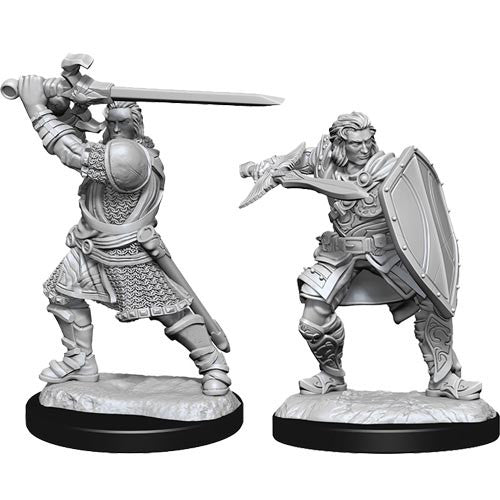 Nolzur Human Paladin | Boutique FDB